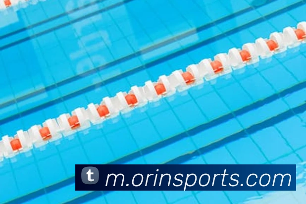 球赛投注发展历程